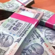 प्लास्टिक के नोट