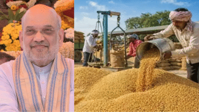 दलहन-तिलहन