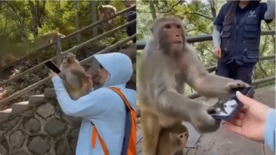 Viral Video