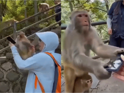 Viral Video