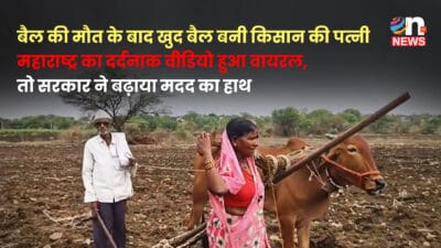लातूर