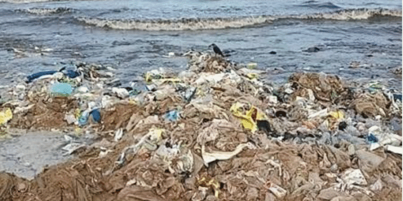 जुहू बीच पर कचरे का पहाड़! BMC ने 10 दिनों में हटाया 1,800 टन मलबा, बताई बड़ी वजह 1 जुहू बीच