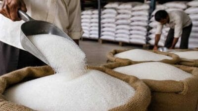 चीनी की जमाखोरी पर मोदी सरकार का बड़ा एक्शन! कारोबारियों के लिए तय हुई स्टॉक लिमिट 30 चीनी