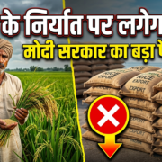 चावल