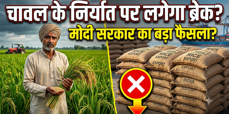 चीनी के बाद चावल के निर्यात पर भी लग सकता है ब्रेक? उत्पादन घटने की आशंका से बढ़ी चिंता 1 चावल