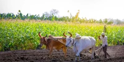 कर्जमाफी